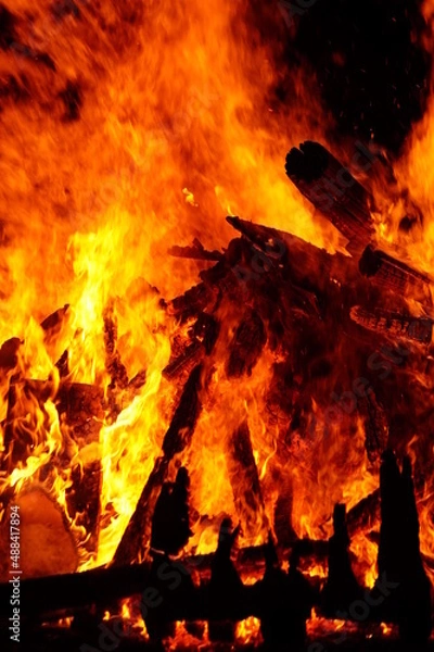 Obraz fire in the fireplace2