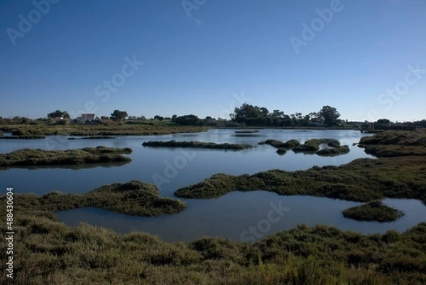 Obraz lake and sky