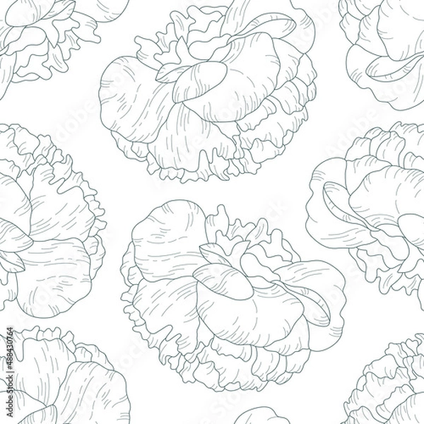 Fototapeta seamless vector pattern with peonies