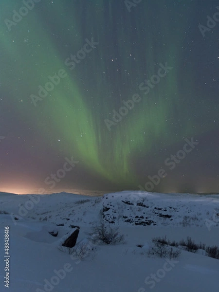 Fototapeta At night in winter, the tundra and the aurora borealis.