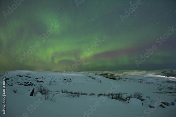 Fototapeta At night in winter, the tundra and the aurora borealis.