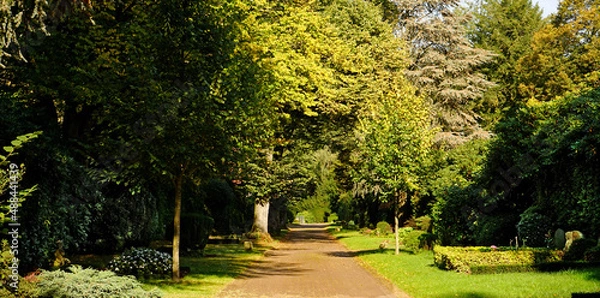 Obraz  Weg durch den Friedhof an der Gruga, in der Stadt Essen.