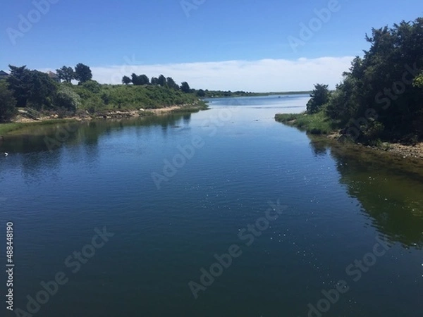 Obraz blue water on the river, trees
