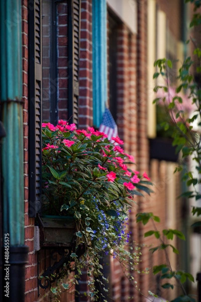 Fototapeta flowers on a balcony
