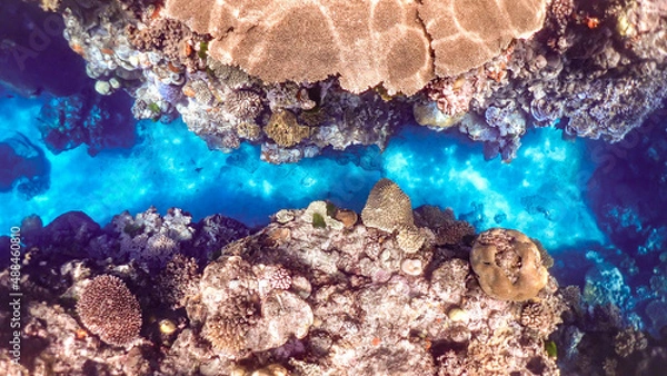 Obraz underwater scene with reef