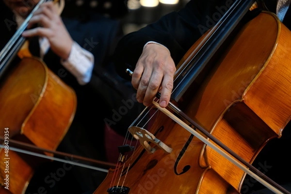 Fototapeta The musician holds a bow and an instrument in his hands. Symphonic music.