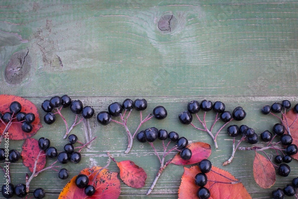 Fototapeta Aronia berry, commonly known as black-fruited mountain ash, with leaves on a wooden background. Freshly picked berries of homemade aronia on the table.