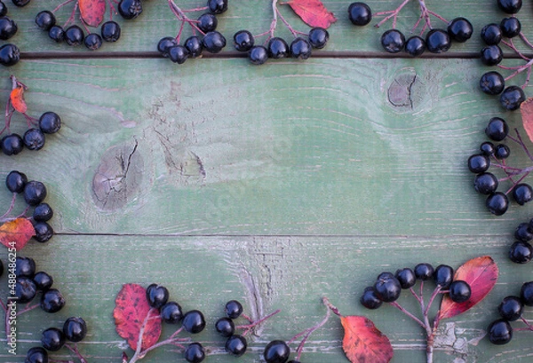Fototapeta Aronia berry, commonly known as black-fruited mountain ash, with leaves on a wooden background. Freshly picked berries of homemade aronia on the table.