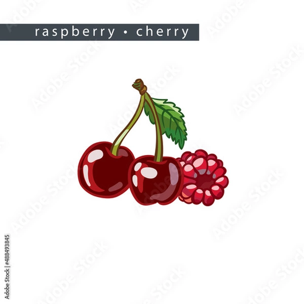 Obraz sketch_raspberry_cherry_three_berries_and_leaf