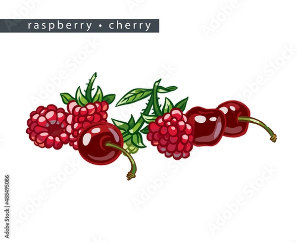 Obraz sketch_raspberry_cherry_a_pile_of_six_berries