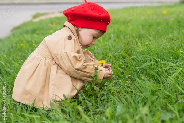 Obraz Charming Toddler in a beige raincoat and red beret admires a flower in spring.