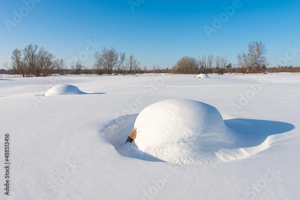 Obraz Hay on a snowy field