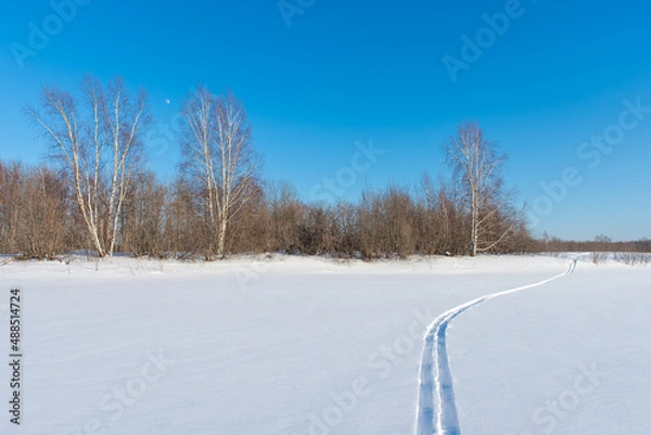 Obraz Ski track on a snowy field. Forest in the background