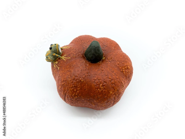 Obraz 호박위에 개구리가 앉아있는 형상의 도자기 장식품