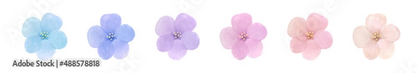 Obraz パステルカラーの花の水彩イラスト