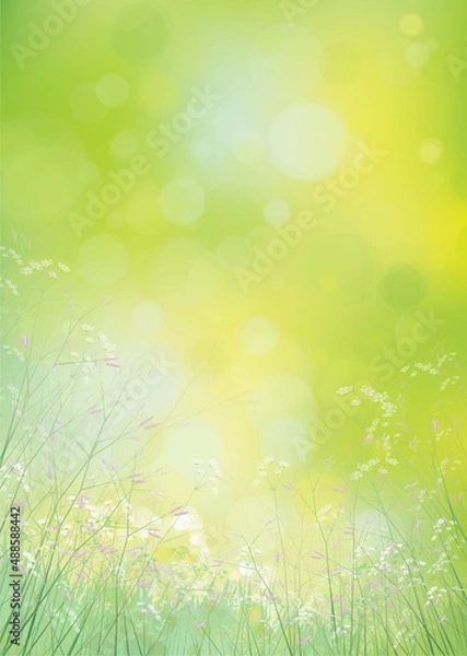 Obraz Vector summer,  green,  nature background. Flowers and plants on  green, bokeh background.