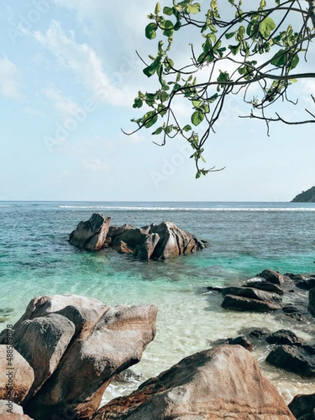 Obraz Tropical shore