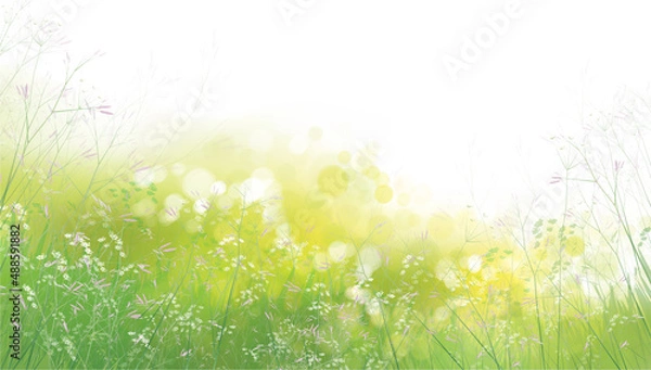 Obraz Vector summer,  green,  nature background. Flowers and plants on  green, bokeh background.