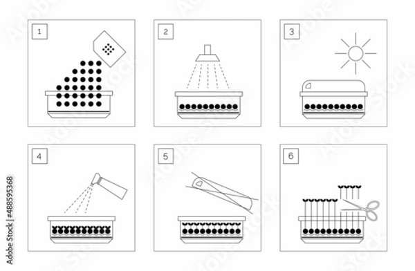 Fototapeta Set with vector instruction info graphic microgreens. Information line icon infographic. Document concept. White background. Outline simple illustration.