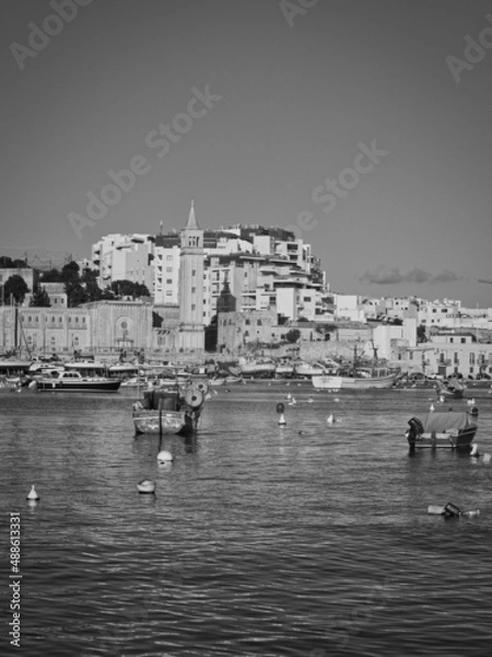 Obraz OLYMPUS DIGITAL CAMERA