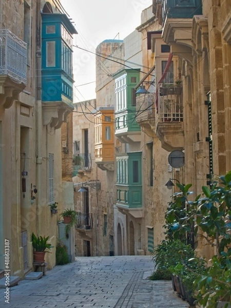 Obraz OLYMPUS DIGITAL CAMERA