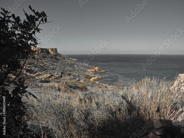 Obraz OLYMPUS DIGITAL CAMERA