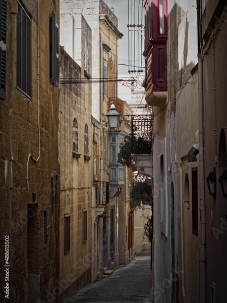 Obraz OLYMPUS DIGITAL CAMERA