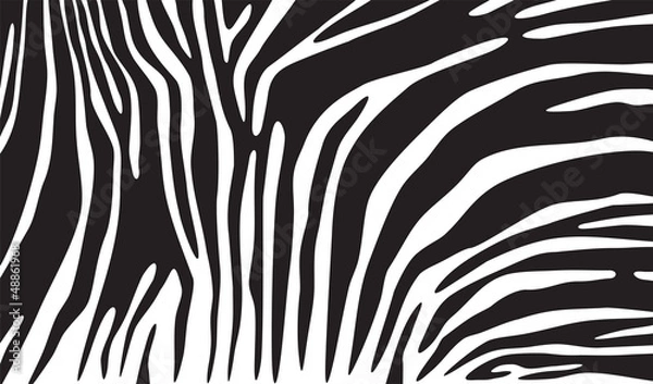 Fototapeta zebra skin background