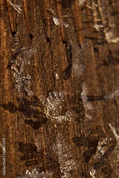 Fototapeta Snowflakes frozen on a wooden surface. Macro of frozen snow in the morning sunlight.