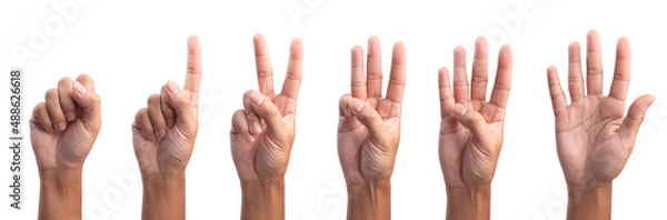Fototapeta five fingers count signs isolated on white background with Clipping path included. Communication gestures concept.