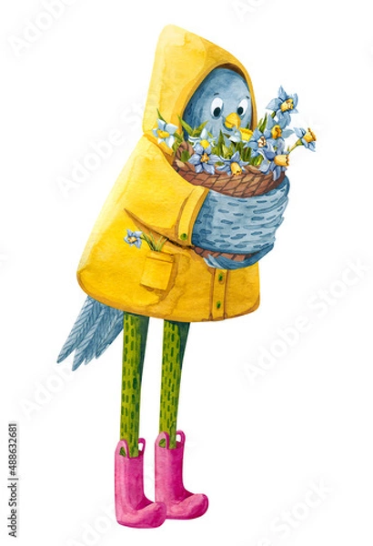 Fototapeta Cute little chicken with a basket of daffodils wears yellow raincoat and pink boots. The bouquet of narcissus for easter holiday. Funny bird character.