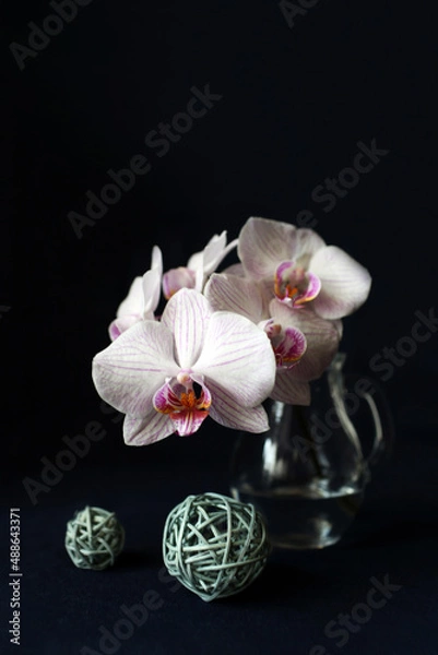 Obraz Orchid with balls