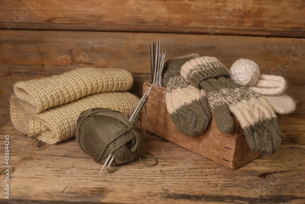 Obraz knitting mittens