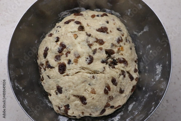 Obraz The yeast dough from which a German Christstollen is made. Raisins, rum and many delicious spices are already included, marzipan not yet. Stollen recipe from Dresden