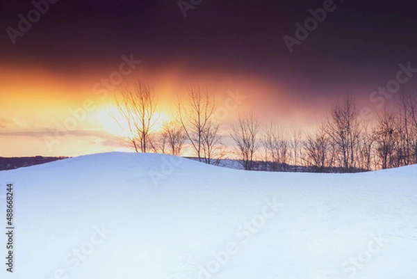 Obraz sunset in winter