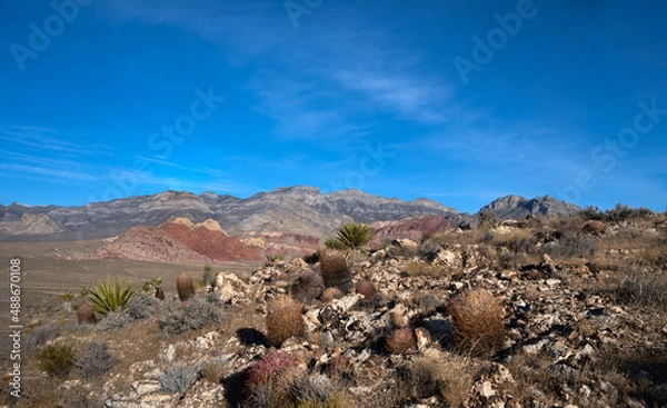 Obraz Desert vista in southern Nevada with cactus and yucca
