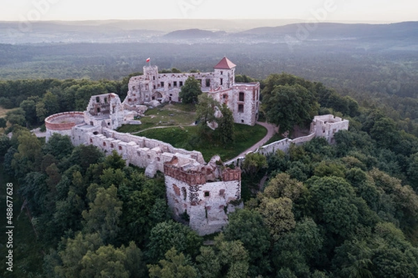 Obraz castle in Tenczyn in the south of Poland