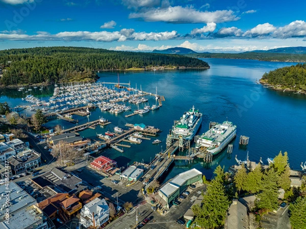 Obraz Aerial Friday Harbor