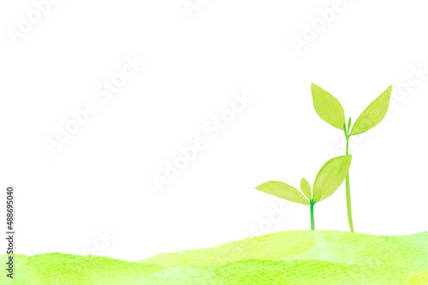 Obraz 草原と若葉の水彩画