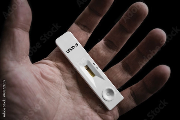 Obraz 抗原検査キット