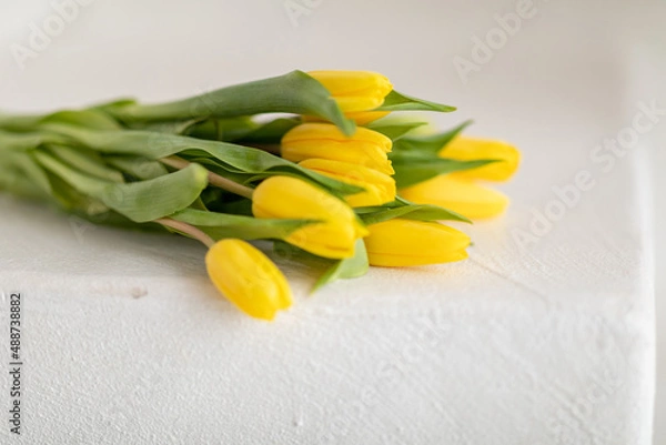 Fototapeta Yellow tulips on a light background. Bouquet of spring flowers. Selective focus. copy space.