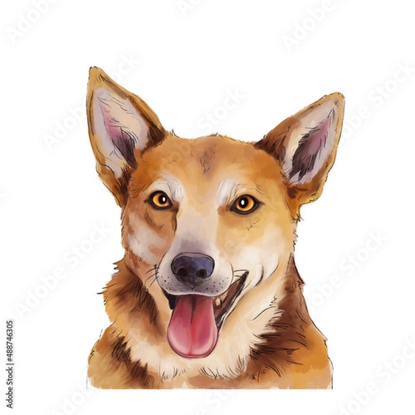 Fototapeta Portrait of a cheerful dog with his tongue hanging out. isolated on white background.