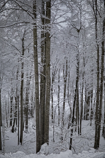 Obraz Winterwonderland Glarus