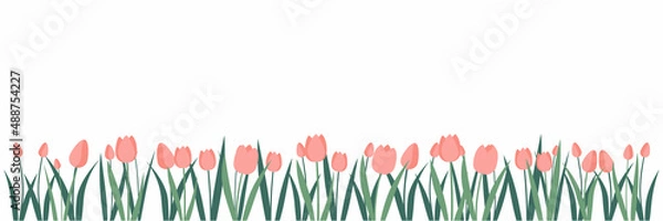 Fototapeta Horizontal background of vector tulips