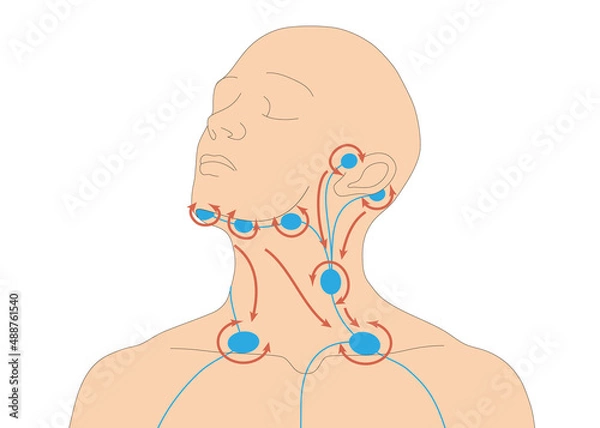 Obraz Infografik - Lymphdrainage am Menschen - Vorbehandlung am Hals
