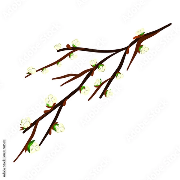Obraz A branch of a spring apple tree with white flowers.
