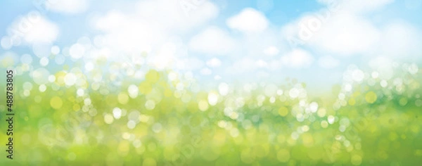 Fototapeta Vector  green, bokeh, nature background. Summer landscape blurred effect.