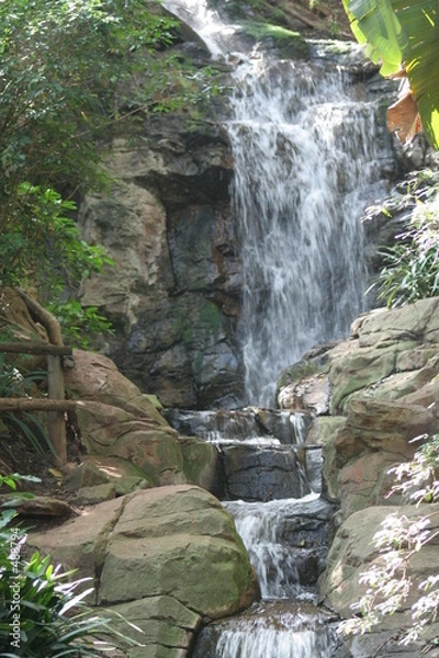 Obraz botanical waterfall