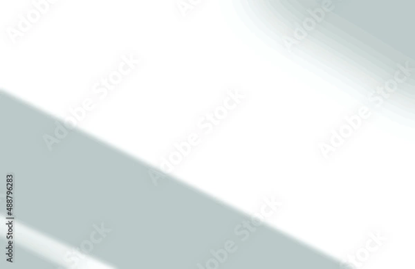 Fototapeta shadow overlay vector isolated on transparent background for presentations and mock ups, minimal tropical plants and window frame scene, indoor light effect with sunshine and rays