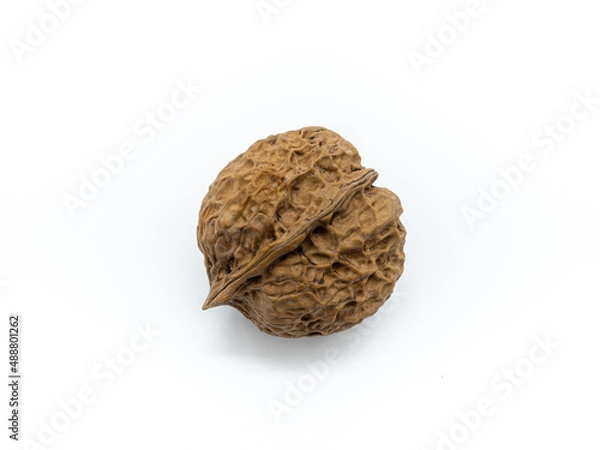 Obraz 장식품으로 사용되는 자연산 호두